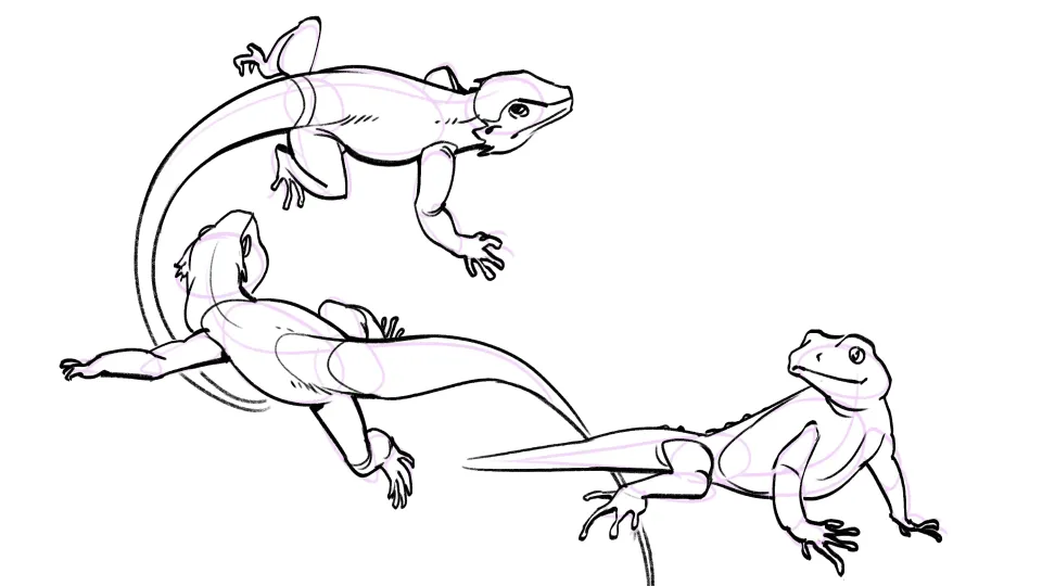 05 | Lizards